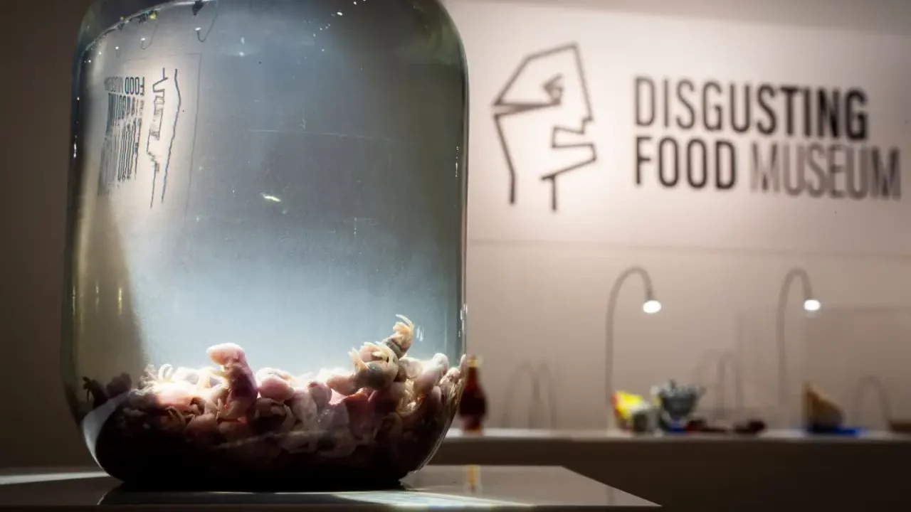 Un museo repugnante y maloliente invita a reflexionar sobre el asco en Berlín