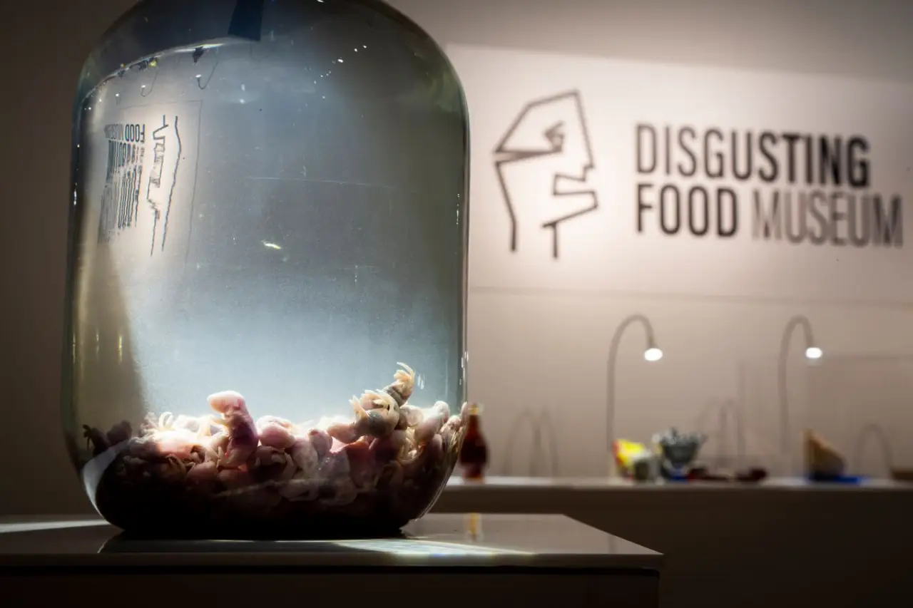 Un museo repugnante y maloliente invita a reflexionar sobre el asco en Berlín