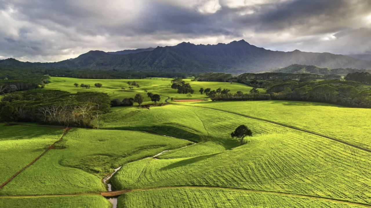 Conoce al inversor multimillonario propietario del terreno donde se filmó Jurassic Park