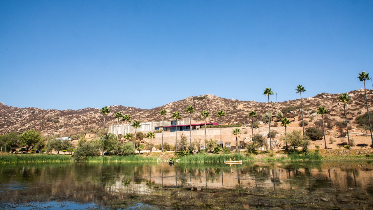 Secretos del vino en Valle de Guadalupe