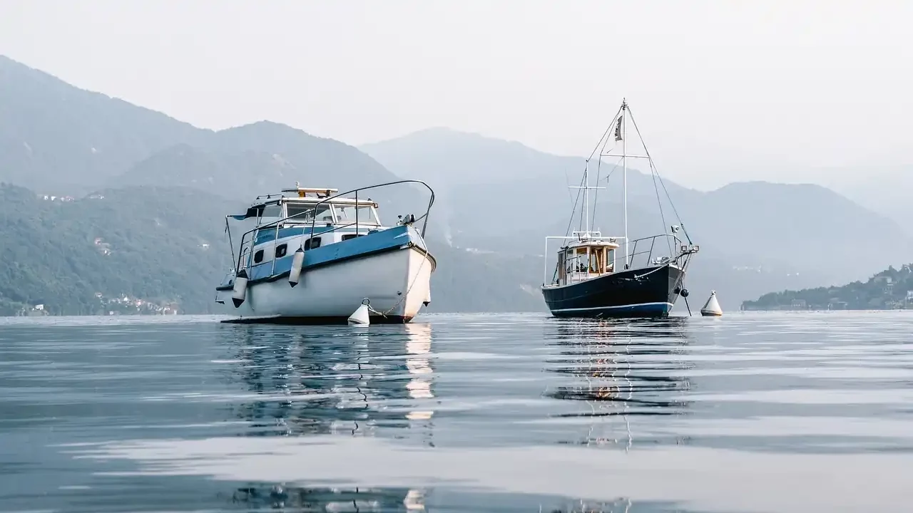 Detienen a 5 personas por pesca ilegal de totoaba en golfo de California