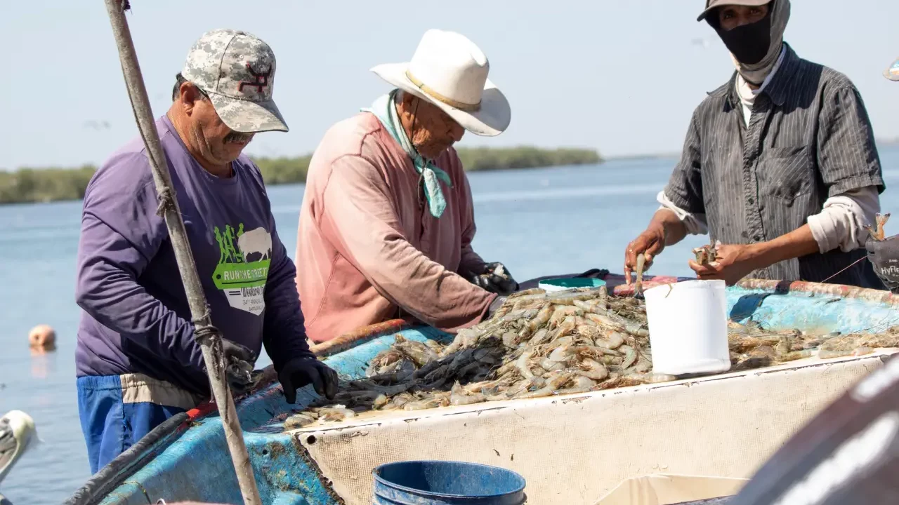 México abre temporada de pesca de camarón de altamar en el océano Pacífico