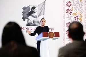 transisción energética-Sheinbuam