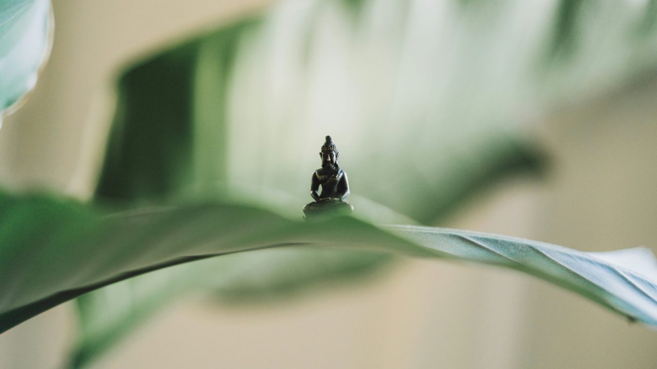 Zen o no zen: por qué tu empresa familiar necesita apoyarse en esta filosofía milenaria