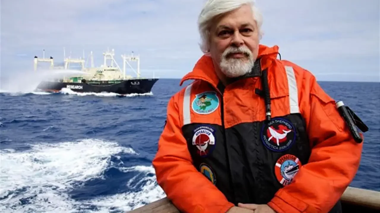 Dinamarca libera al activista contra la caza de ballenas Paul watson; rechazan extradición a Japón