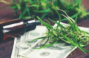Hoy en día, para efectos fiscales federales, las empresas de cannabis generalmente solo son deducibles por el costo de los bienes vendidos (COGS).Getty