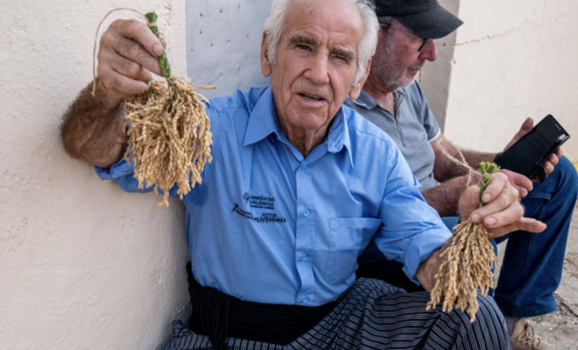 Conoce el parque natural de la Albufera y el arroz valenciano con denominación de origen