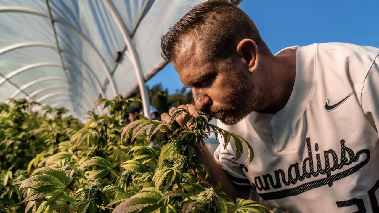 Zyn, pero con marihuana: la locura por las bolsitas llega a la industria del cannabis