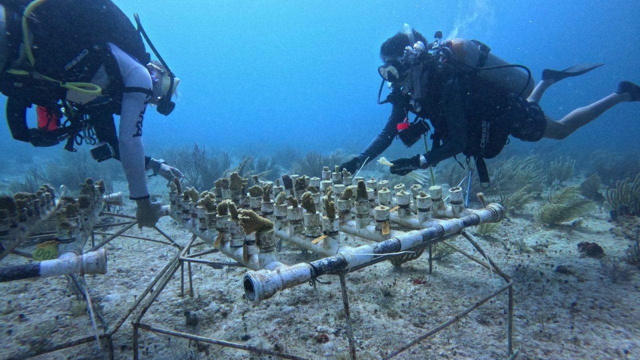 Avances sostenibles en Quintana Roo