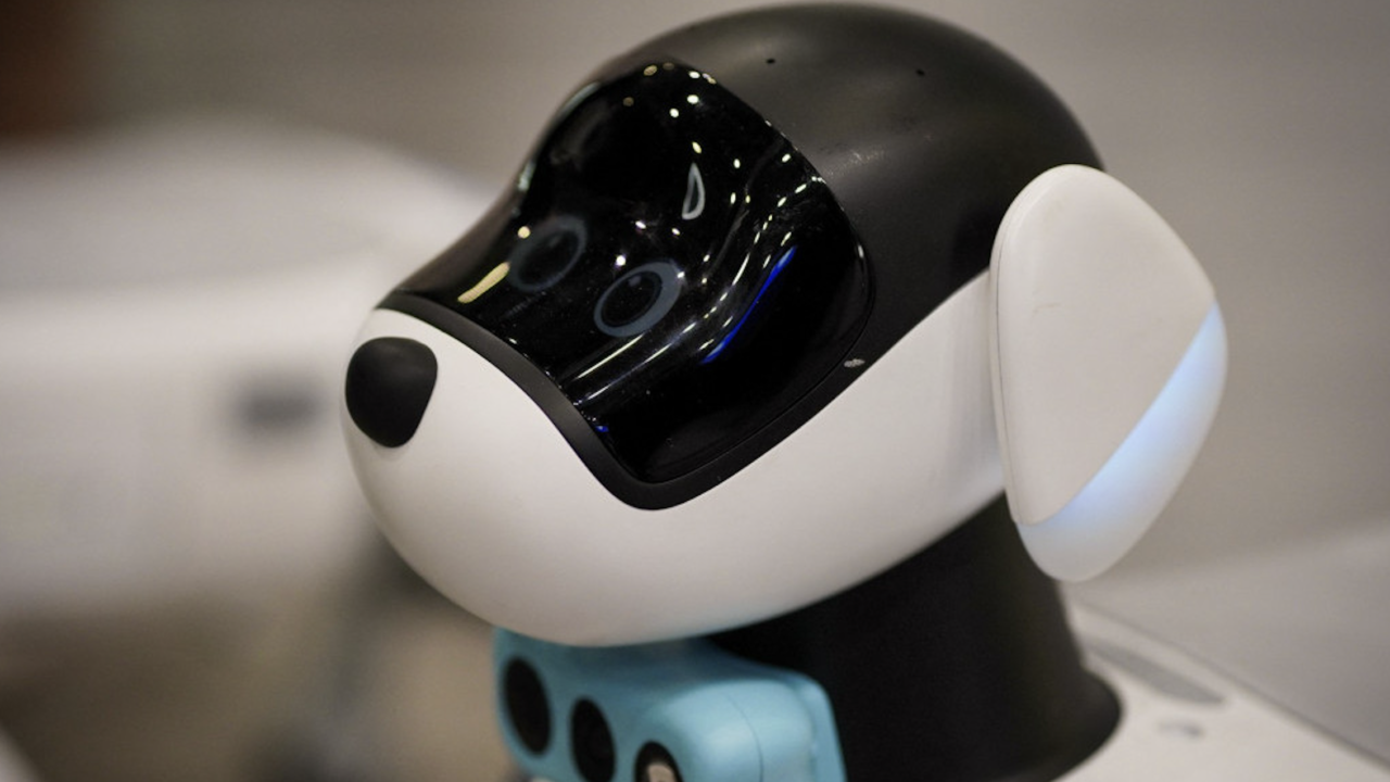 Startup sueca de IA presenta perro robot que aprende y se adapta como los humanos
