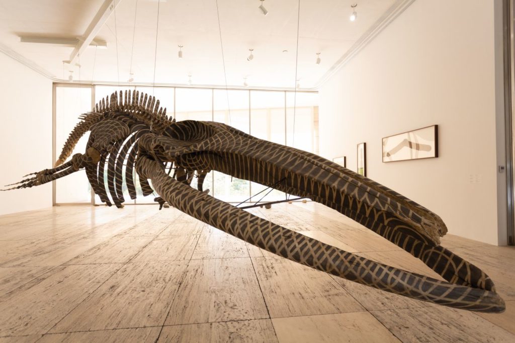 artista plástico museo Jumex