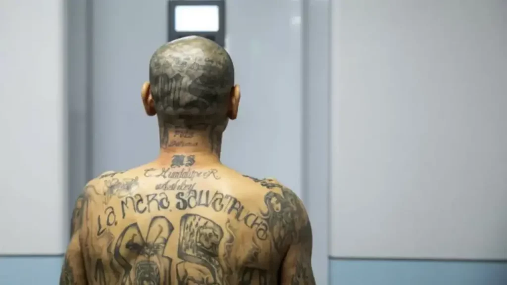 Mara Salvatrucha-MS-13