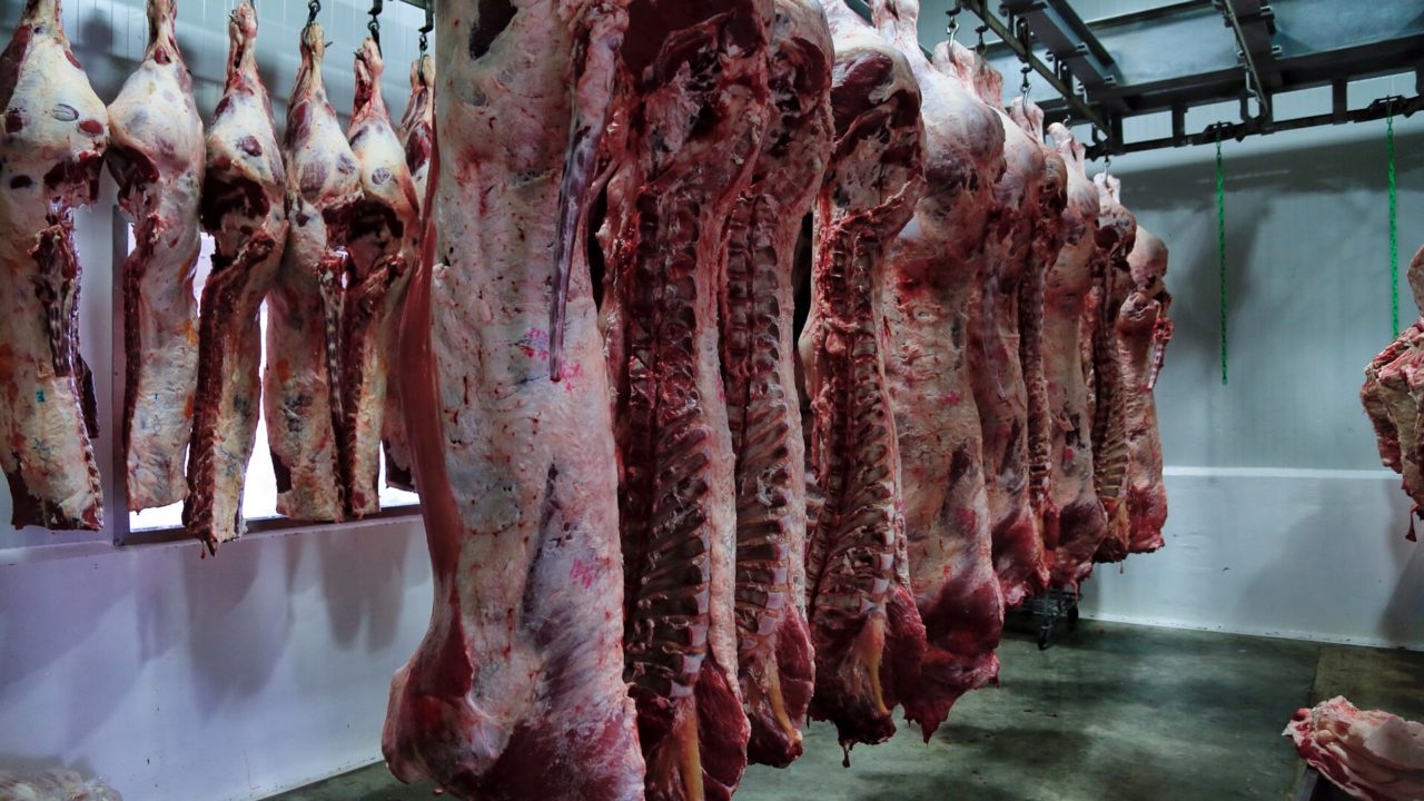 Prevén que exportaciones de carne en México aumenten más de 13% en 2026