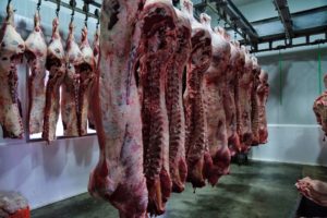 carne de res-China-importaciones