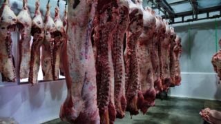 carne de res-China-importaciones