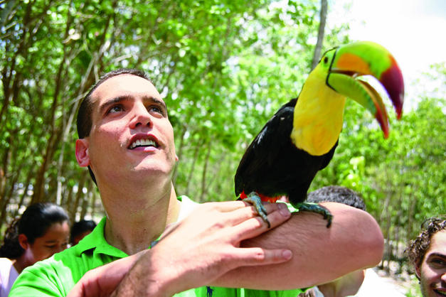 Columna Deadline: Presionan a magistrados federales para resolver a favor de la ‘mafia verde’ en Quintana Roo
