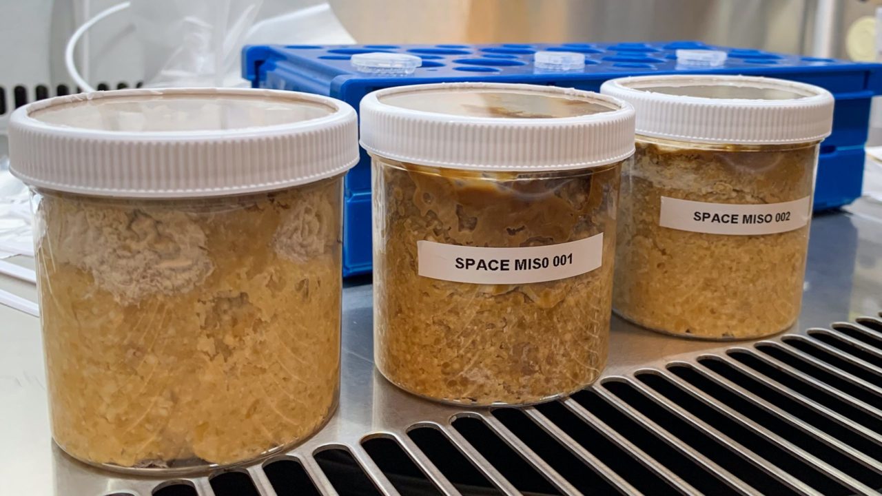 Astronautas de la EEI prueban que se puede fermentar miso, aunque sabe un poco diferente