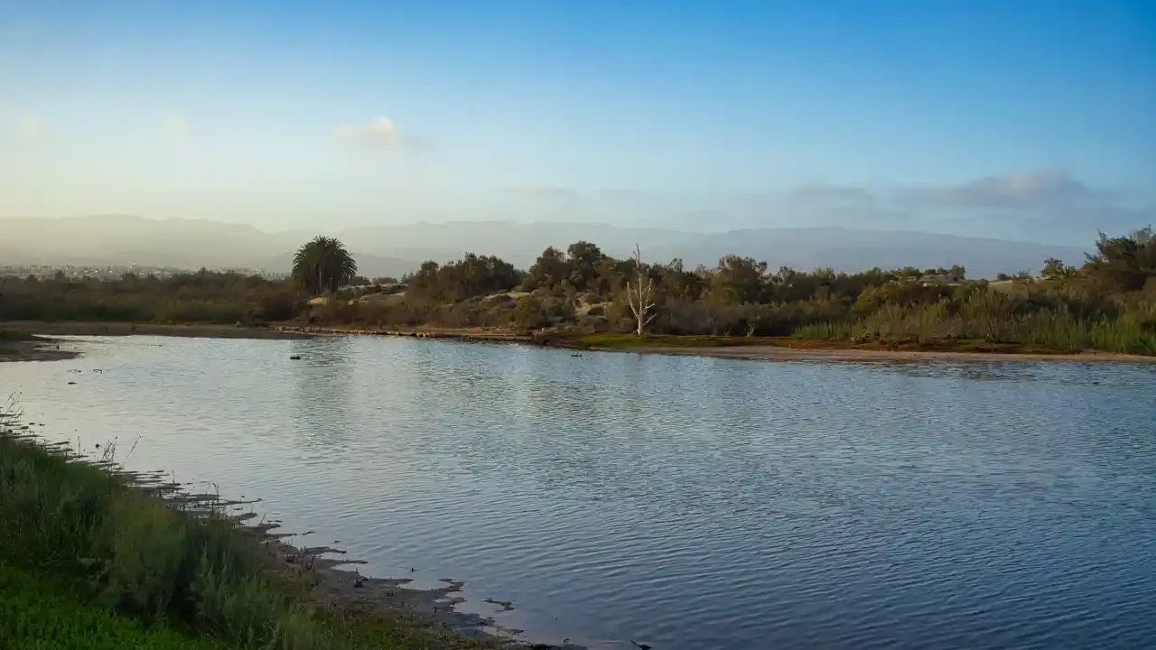 México recibe 4.5 veces más agua que la que entrega a EU: Conagua