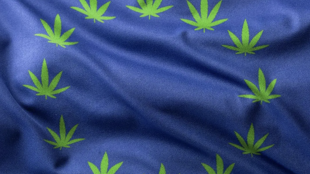 Con la legalización federal estancada, las empresas de cannabis están encontrando una nueva fiebre verde en Europa