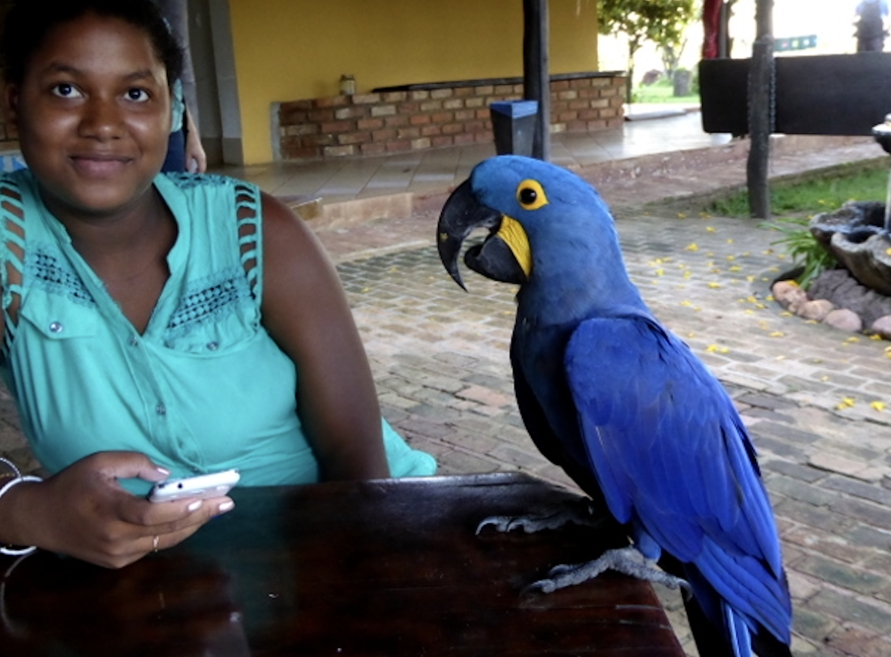 Conoce el maravilloso mundo del turismo sostenible del Pantanal brasileño