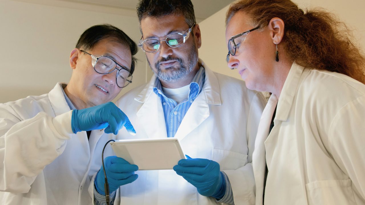 Descubren una mutación genética que aumentó la estatura y aceleró el metabolismo humano