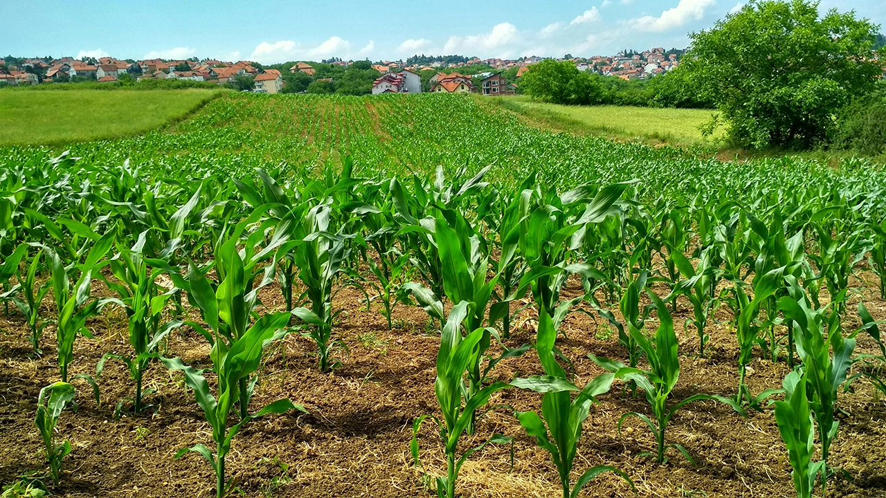 La agricultura del futuro ahora en Latinoamérica (2)