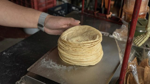 tortillas