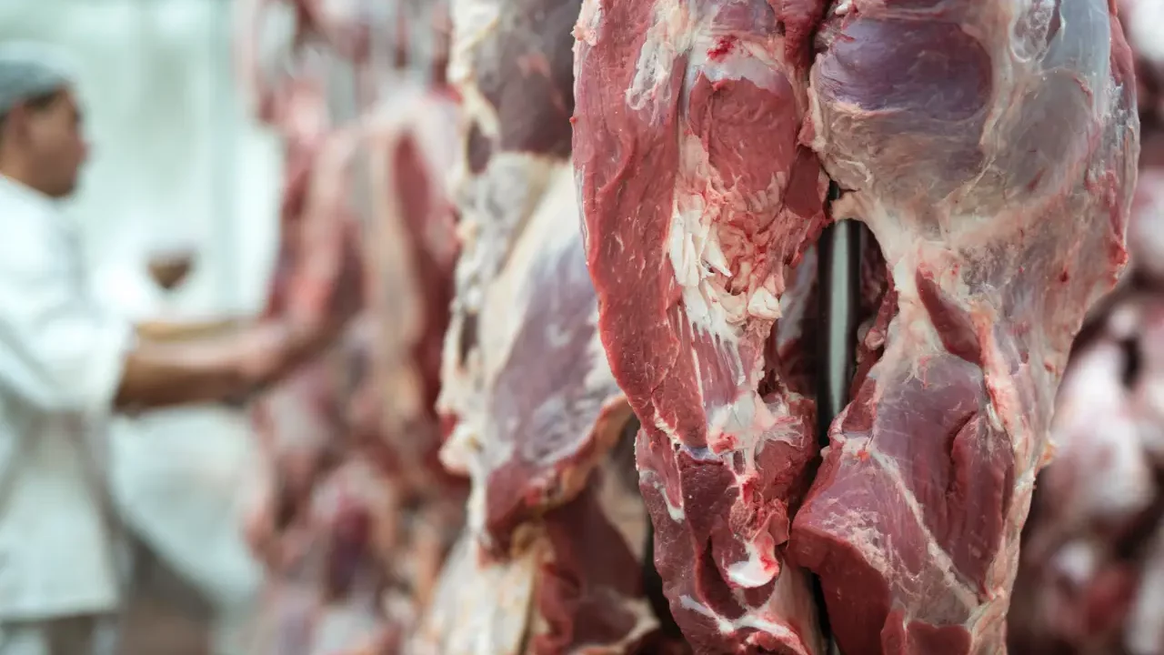 Industria cárnica busca nuevos mercados ante incertidumbre sobre reapertura fronteriza