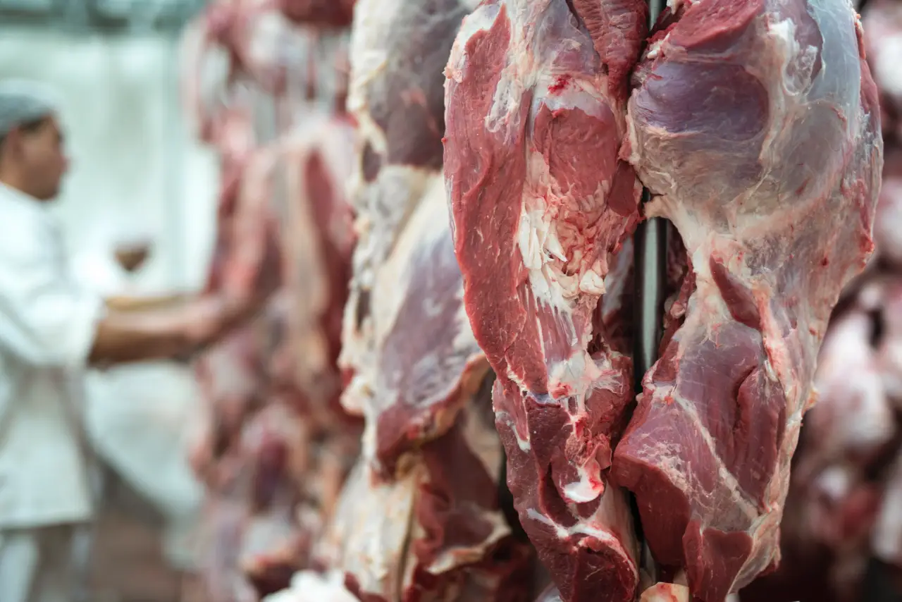 Industria cárnica busca nuevos mercados ante incertidumbre sobre reapertura fronteriza