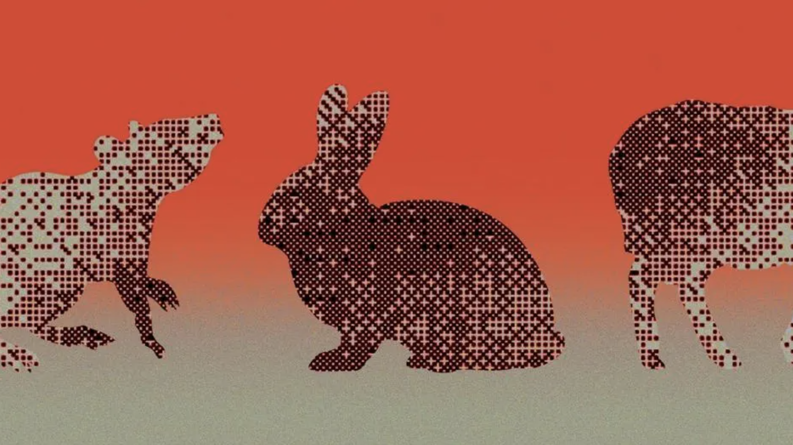Cómo la IA y los miniórganos podrían reemplazar las pruebas de medicamentos en animales