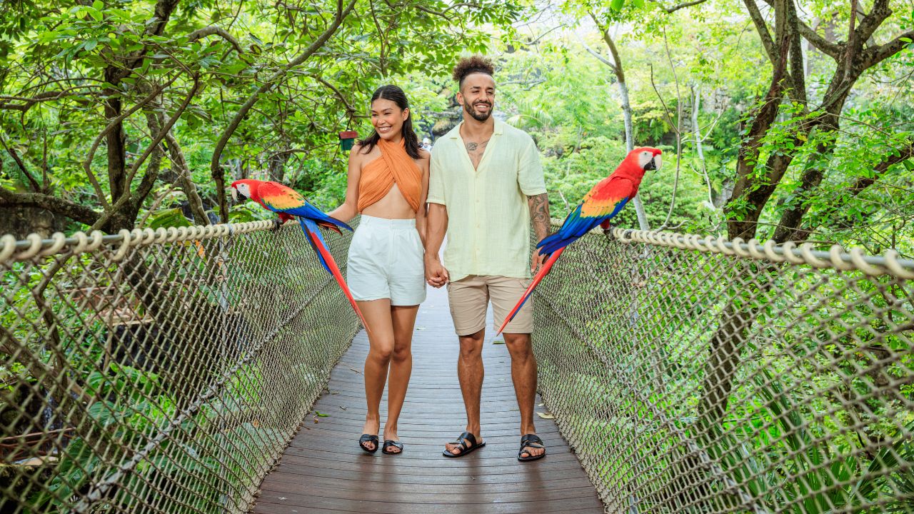 Experimenta el verdadero lujo en Xcaret, una herencia que se descubre con los sentidos