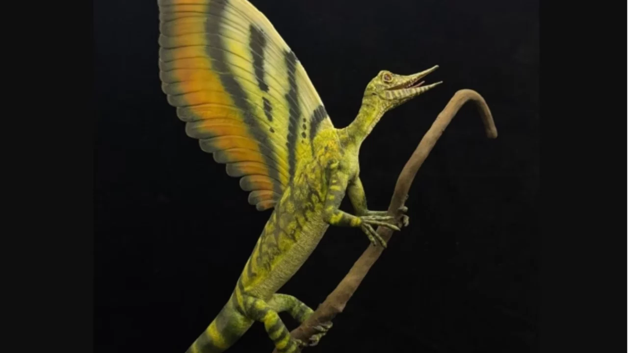 Descubrimiento de reptil del Triásico con cresta dorsal desafía la teoría evolutiva de estos animales