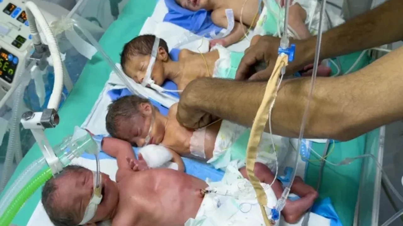 ‘Si el bebé pudiera hablar gritaría’: familias gazatíes relatan arriesgadas medidas para alimentar a bebés en Gaza