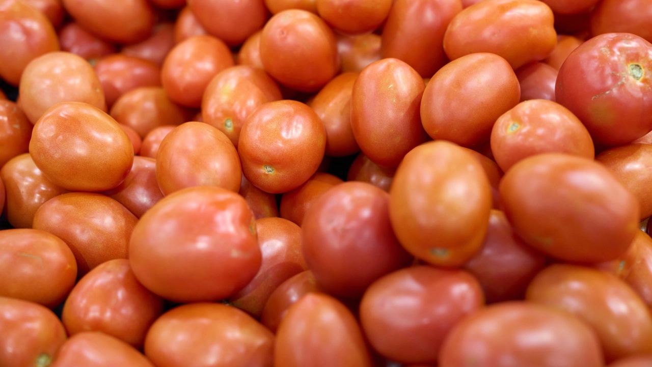 Exportación del tomate a EU se desploma 23.5% en primer trimestre de 2026