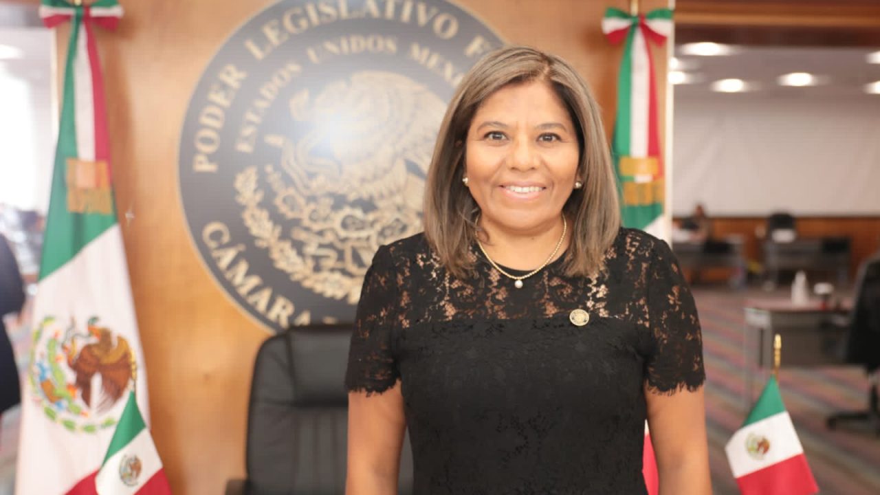 Mary José Alcalá dijo a la FGR desconocer paradero de Jesús Mena en el caso contra la FMN