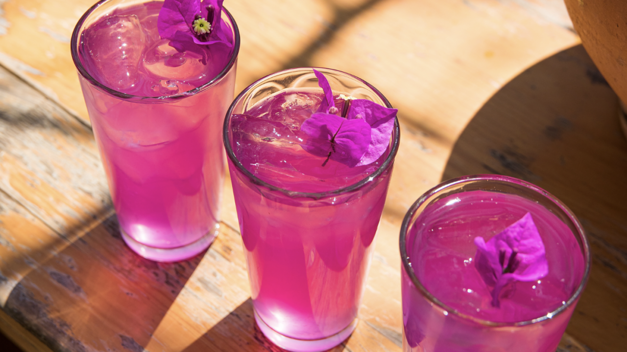 Bebidas de Oaxaca: cuando la tradición se convierte en emprendimiento cultural con impacto global