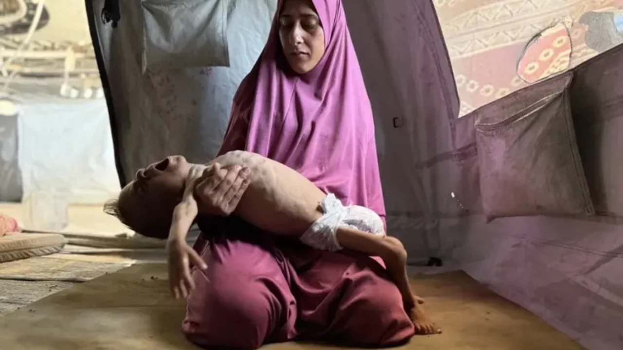 ¿Está cometiendo Israel genocidio en Gaza?; la CIJ tardará años en decidir pero los países deben actual ahora: especialista