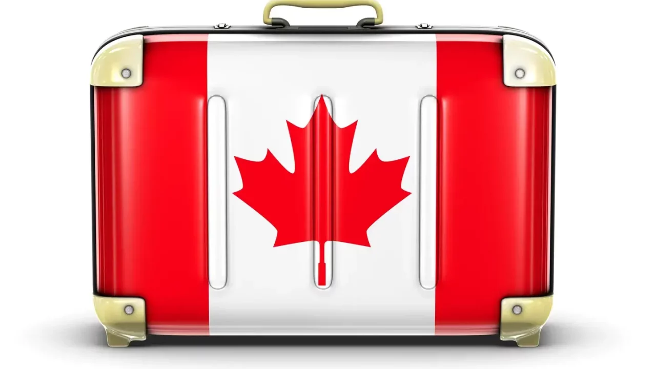 Las visitas de automóviles canadienses a EU se desploman un 34% en agosto: octavo mes consecutivo de fuertes descensos