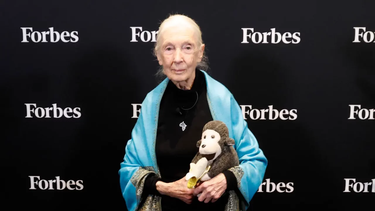 ‘Mándenlos fuera del planeta’: Jane Goodall criticó a Musk y a Trump en una entrevista antes de su muerte