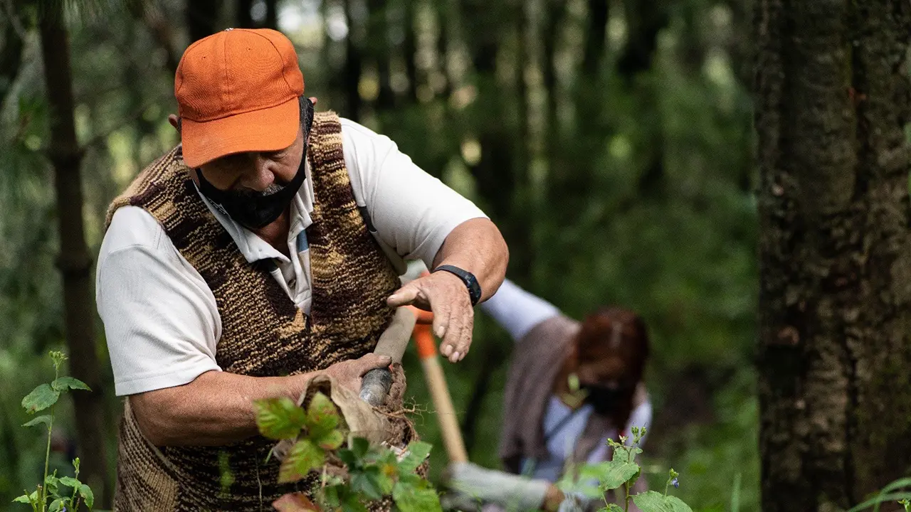 Logra IP la creación de la primer Área Destinada Voluntariamente a la Conservación en CDMX