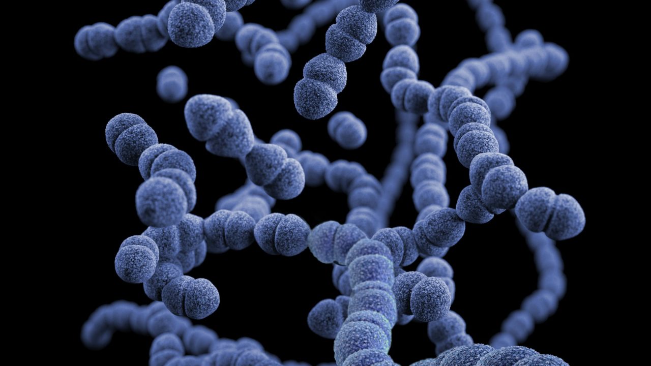 El microbioma intestinal de un joven del México precolombino desvela cambios evolutivos