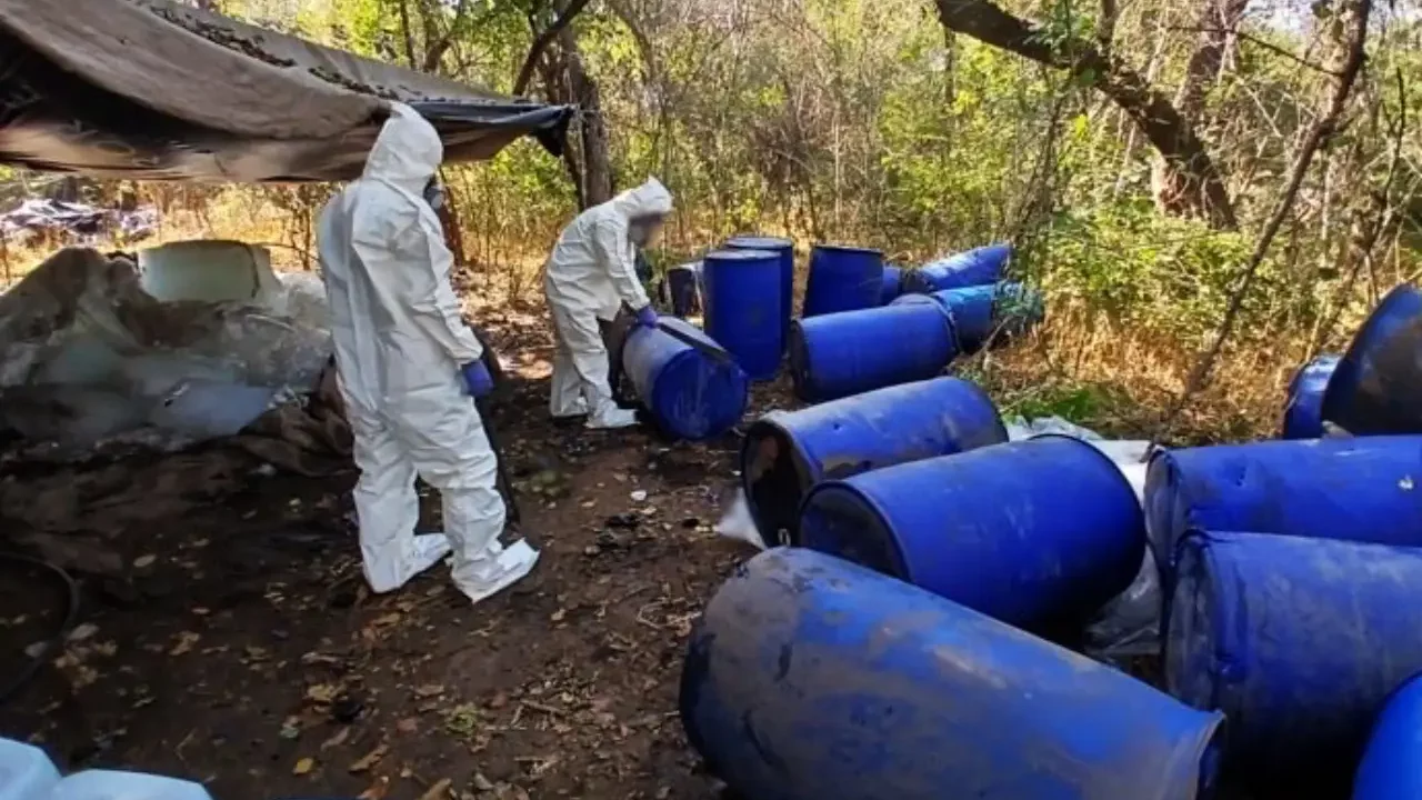 Aseguran más de 13.3 millones de dólares en drogas sintéticas en Sinaloa