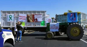 bloqueo maíz