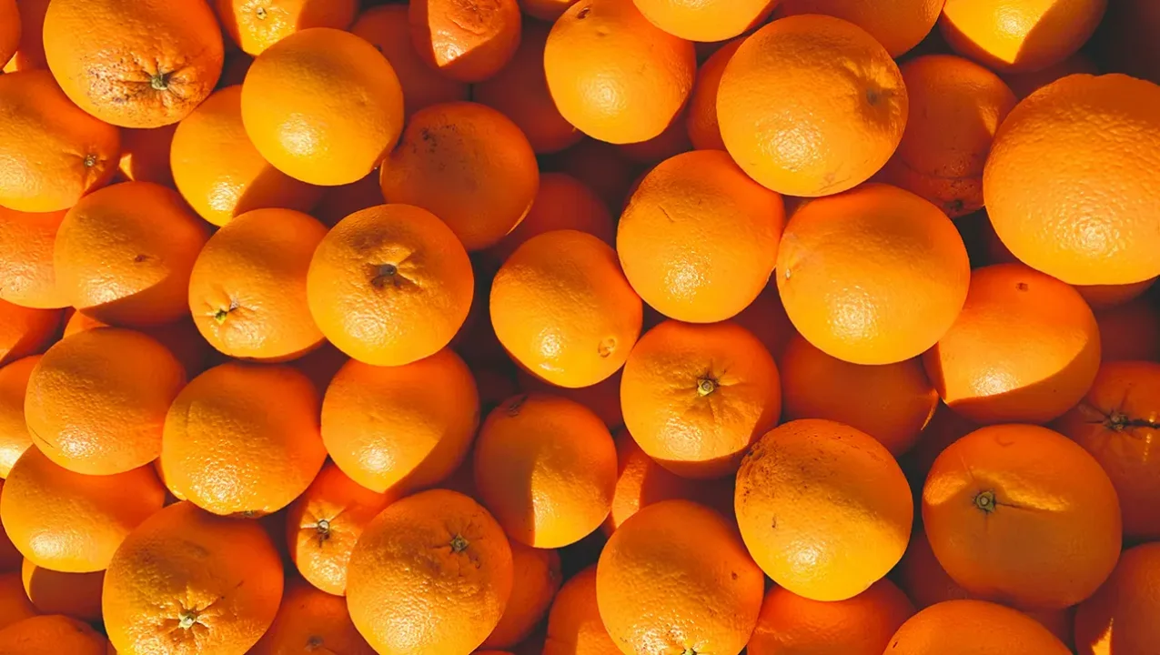 La sequía y una bacteria fueron catastróficos para la naranja: tiraron en 2 millones de toneladas la producción en México