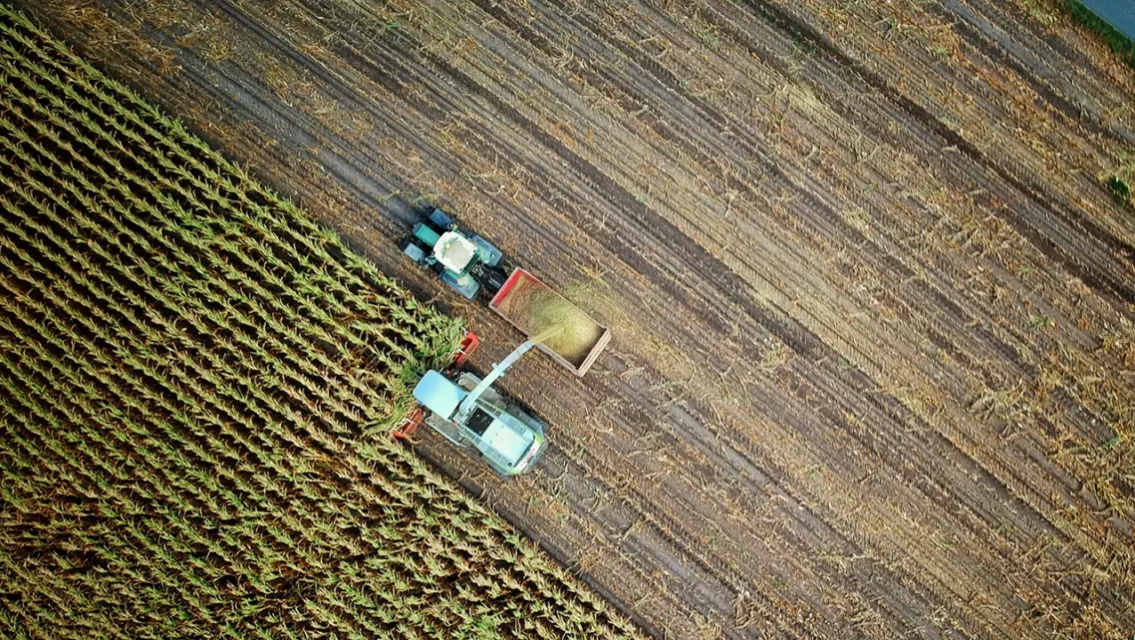 Sequía y el aumento de costos por la guerra en Irán agravan el dolor para los agricultores en EU