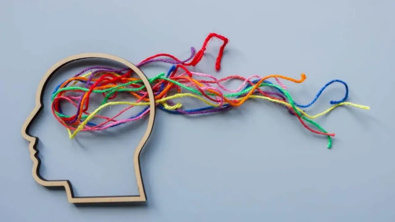 Lo que las personas autistas, y aquellas con TDAH y dislexia, realmente piensan sobre la palabra ‘neurodiversidad’