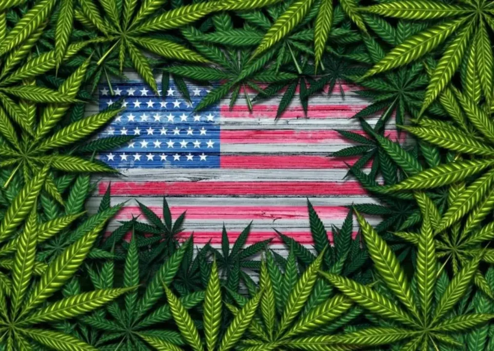¿Dónde es legal el cannabis en EU? Guía de los 50 estados