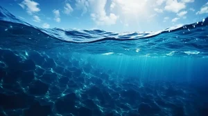 Océano vida cambio climático