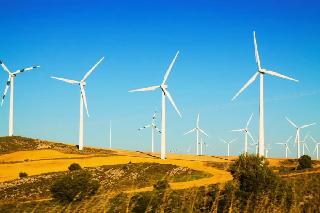 Global Wind Energy Council alaba a México y Brasil por desempeño en energía eólica, pero podrían hacer más