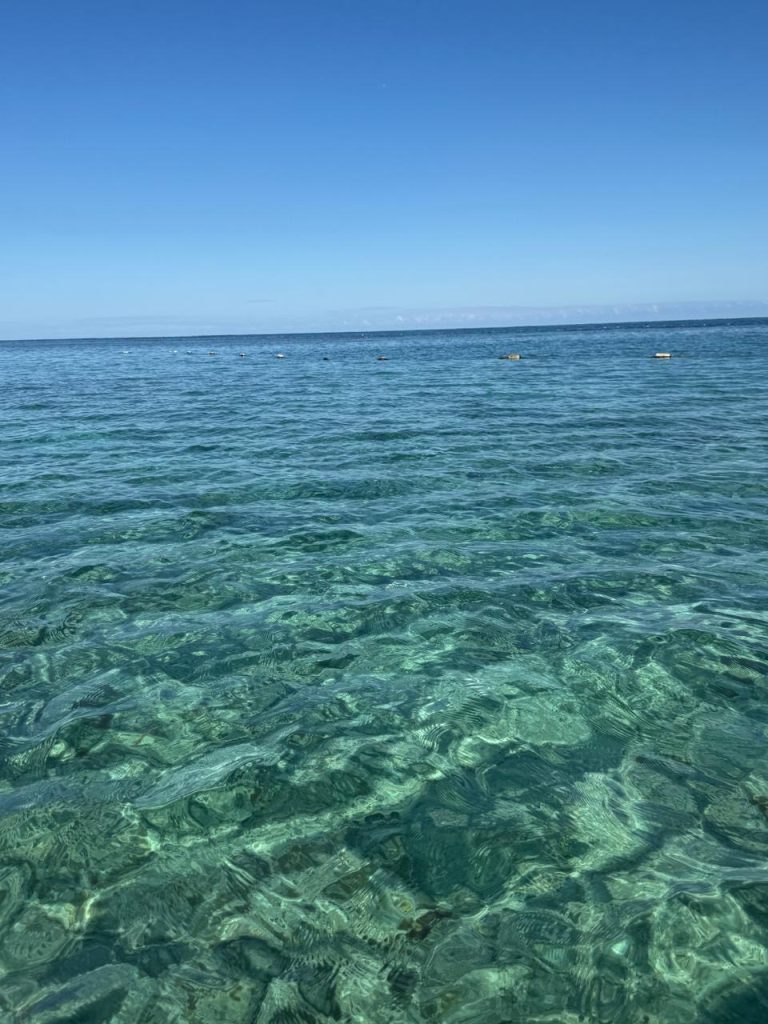 arrecifes.Cancun.II